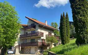 Bellestay